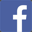 facebook icon 2
